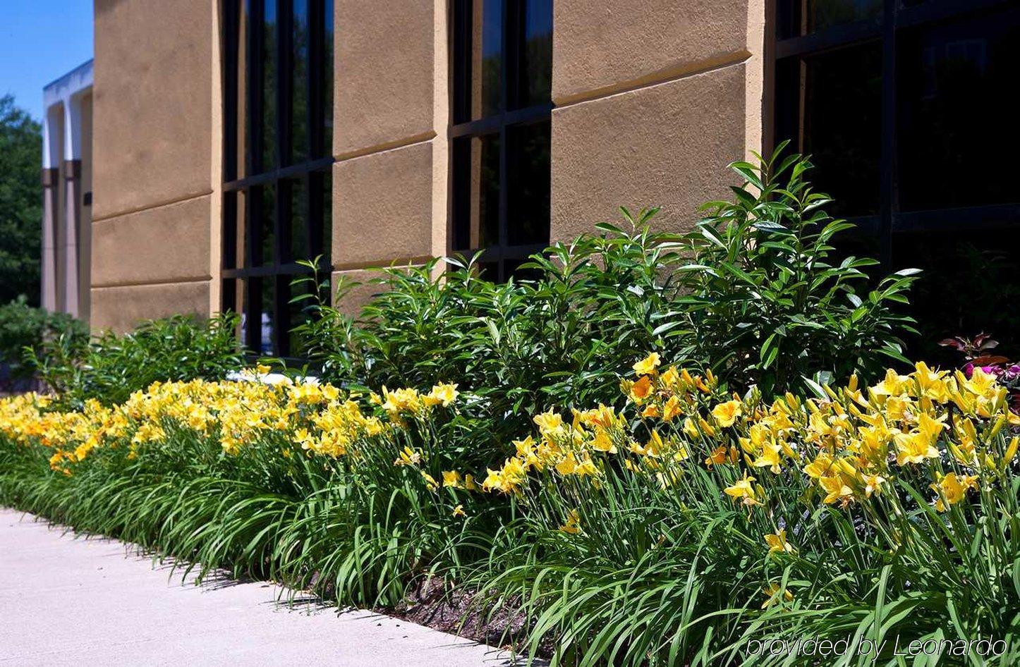 Hampton Inn Alexandria Exterior photo